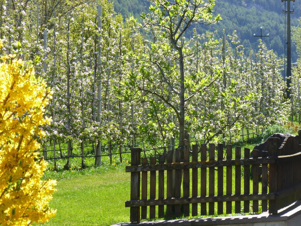 Gletscherblick Naturns Esterno foto