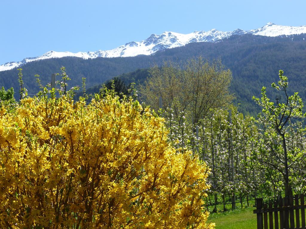 Gletscherblick Naturns Esterno foto