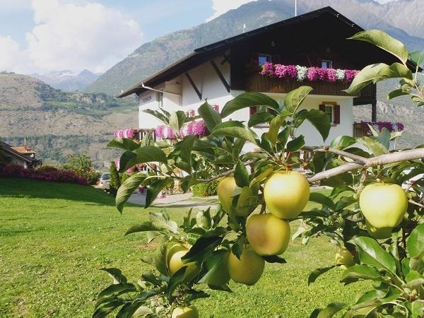 Gletscherblick Naturns Esterno foto